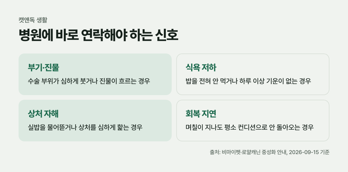 병원에 바로 연락해야 하는 신호