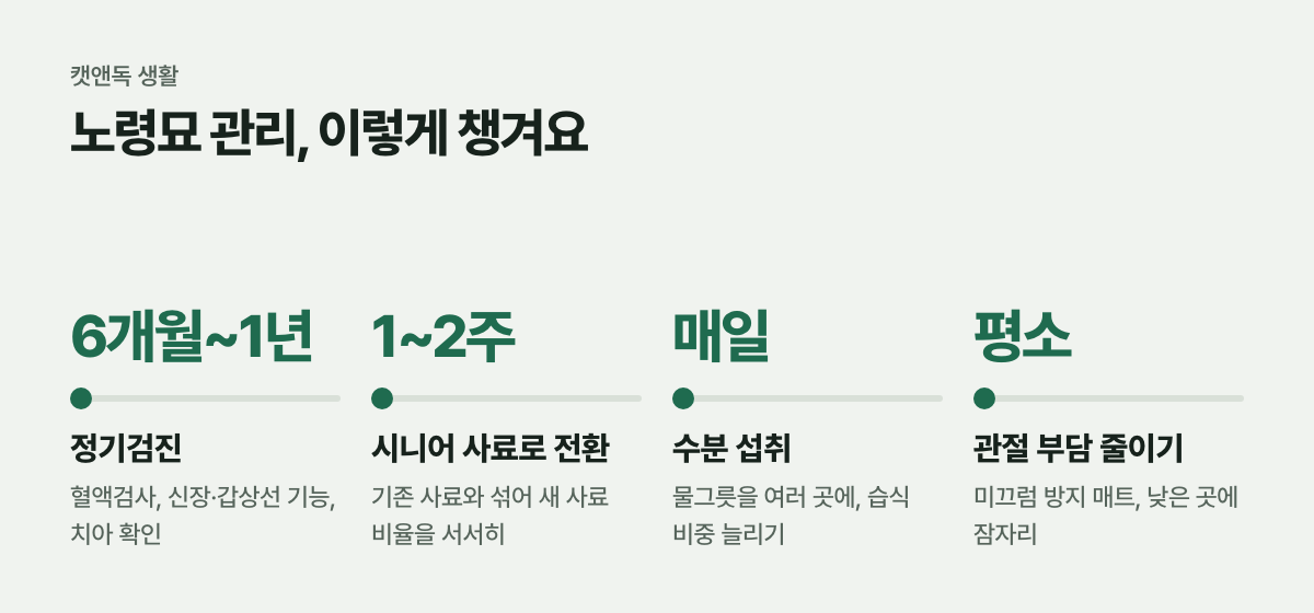 노령묘 관리, 이렇게 챙겨요