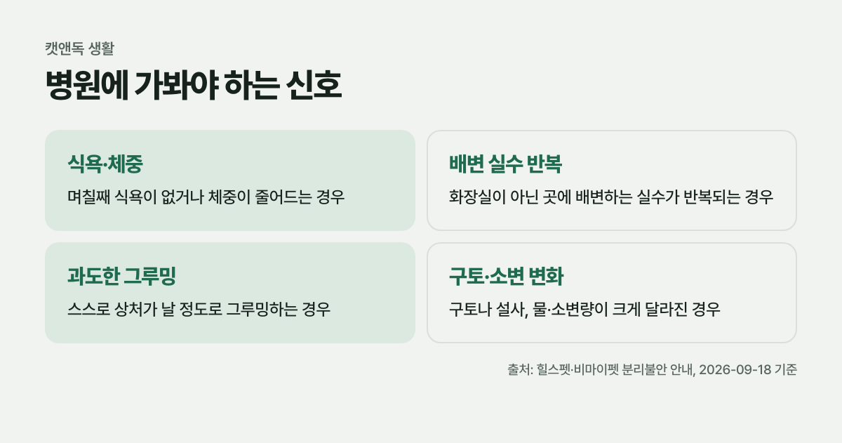 병원에 가봐야 하는 신호