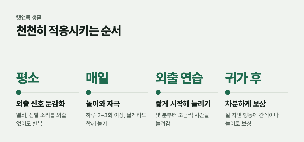 천천히 적응시키는 순서