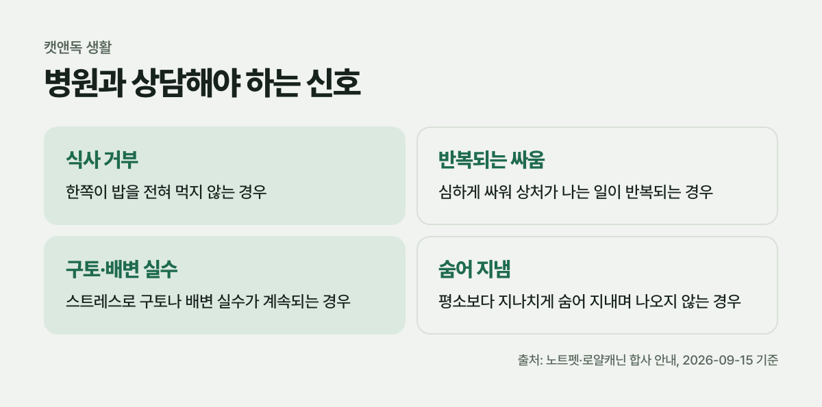 병원과 상담해야 하는 신호