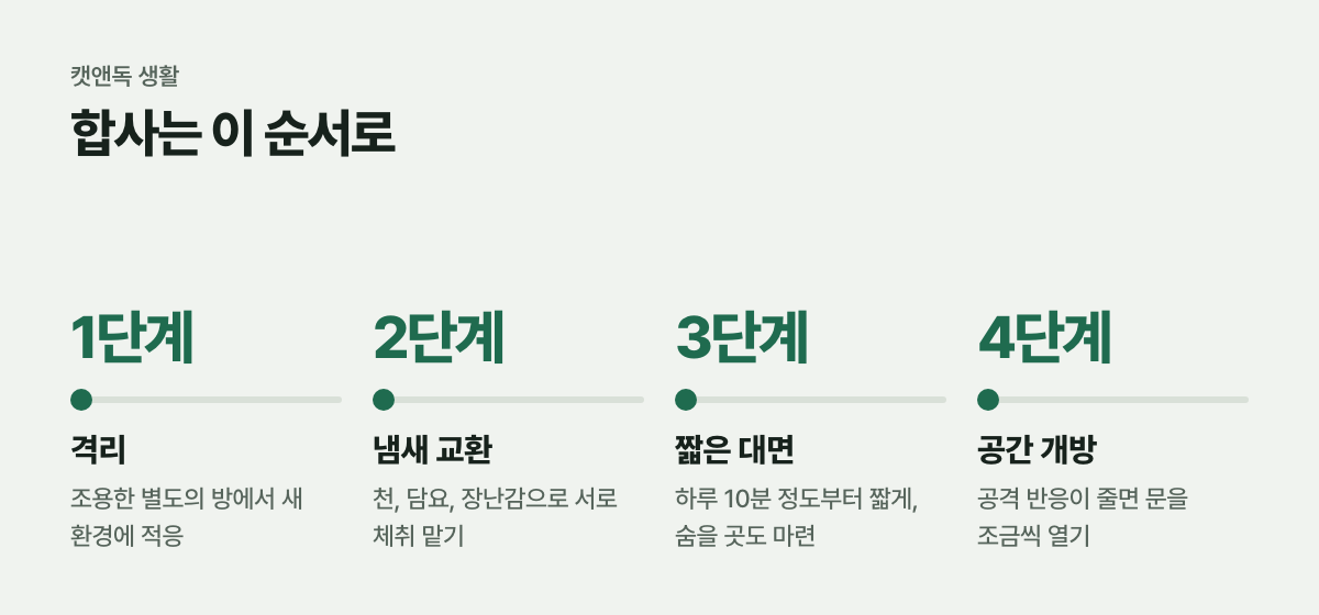 합사는 이 순서로