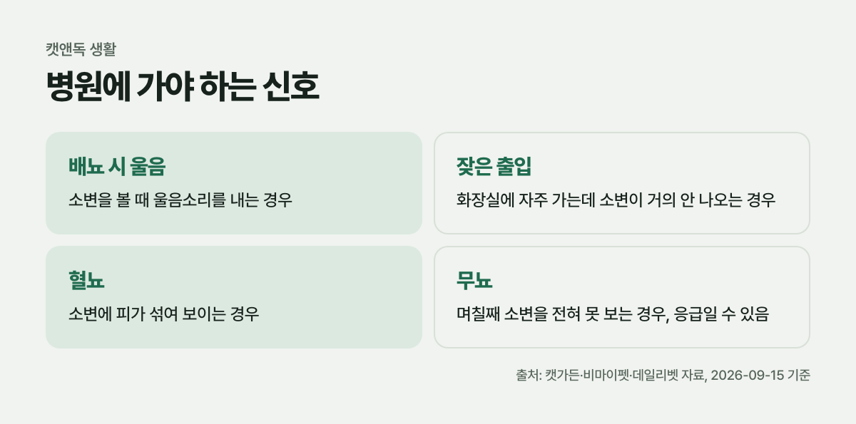 병원에 가야 하는 신호