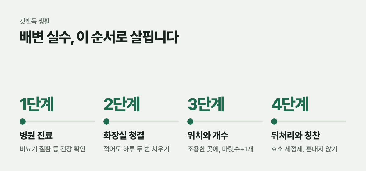 배변 실수, 이 순서로 살핍니다