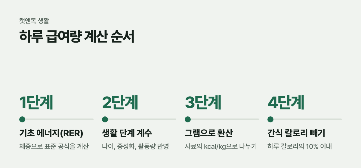 하루 급여량 계산 순서