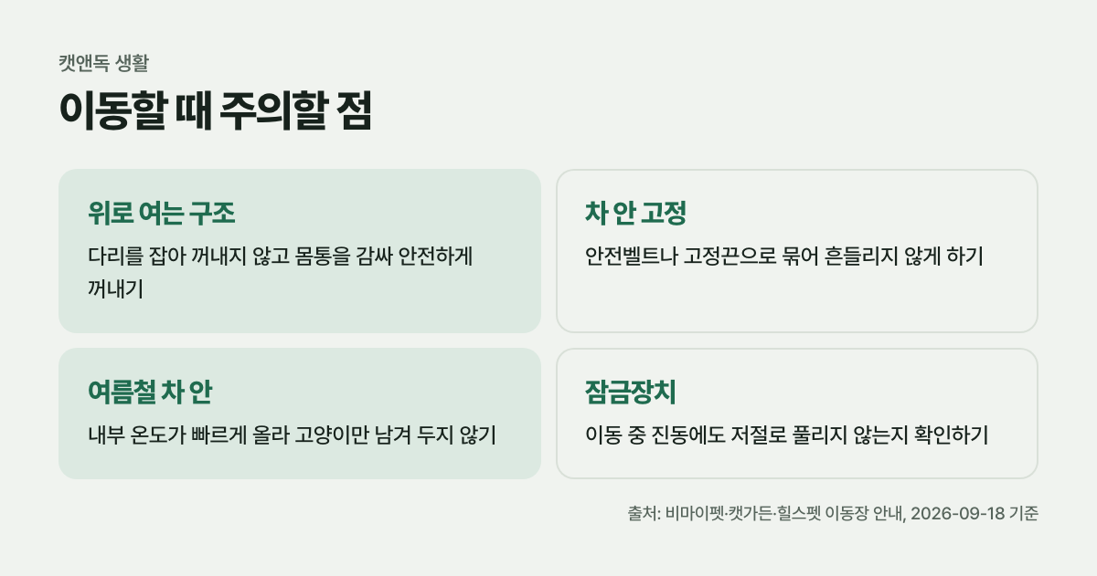 이동할 때 주의할 점
