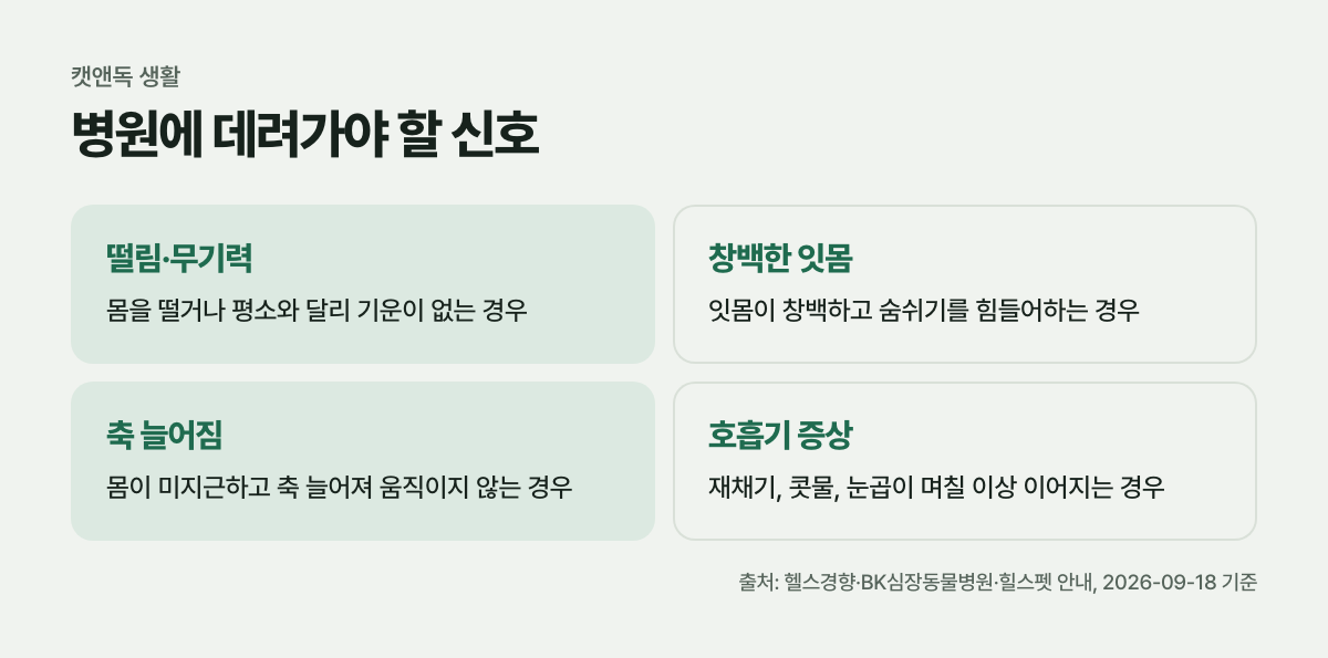 병원에 데려가야 할 신호