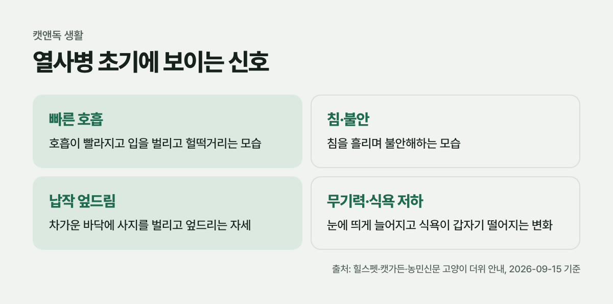 열사병 초기에 보이는 신호