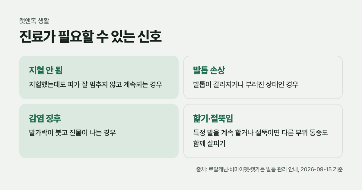 진료가 필요할 수 있는 신호