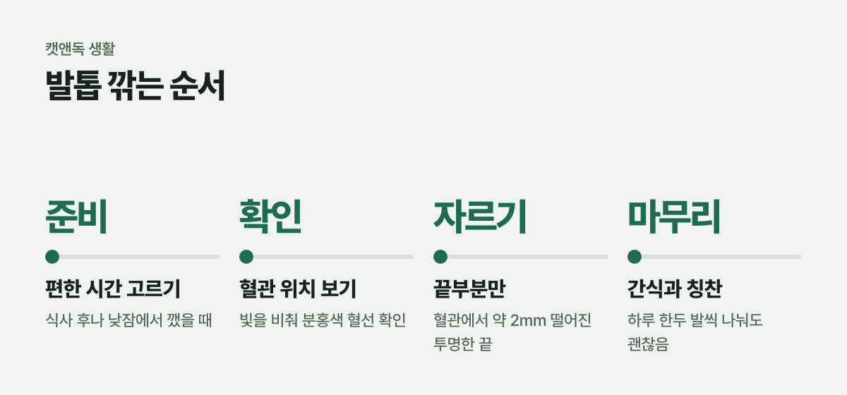 발톱 깎는 순서