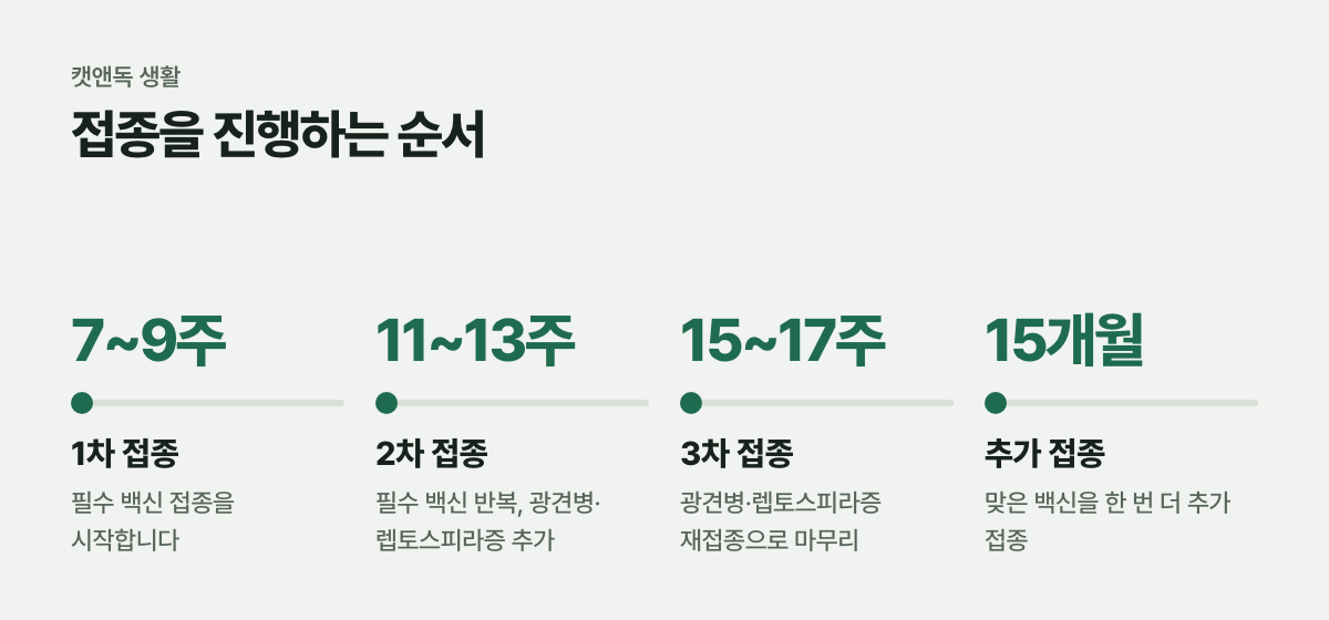 접종을 진행하는 순서