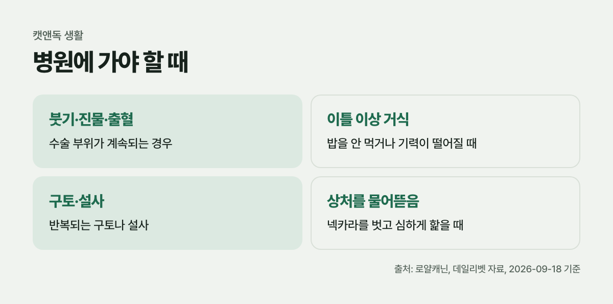 병원에 가야 할 때