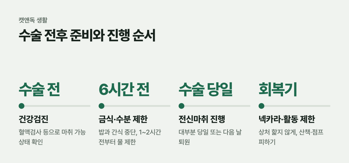 수술 전후 준비와 진행 순서
