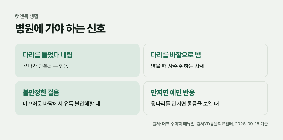 병원에 가야 하는 신호