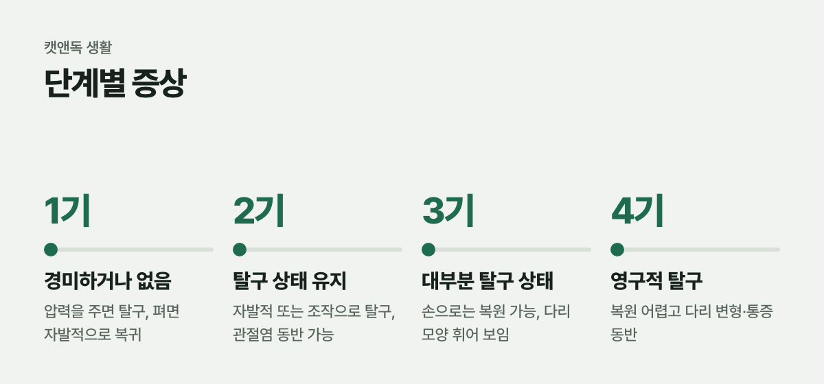 단계별 증상