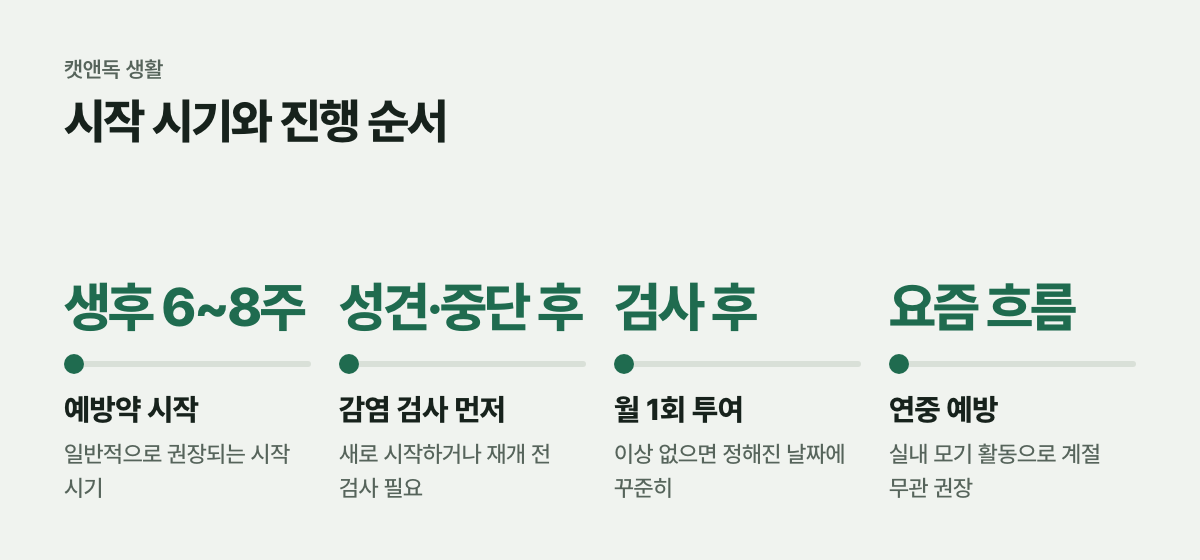 시작 시기와 진행 순서