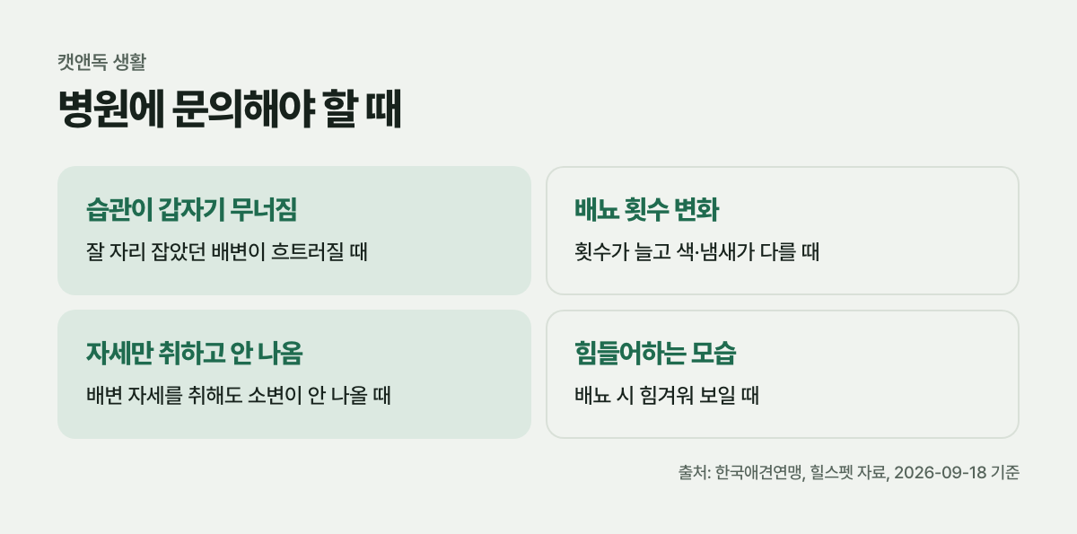 병원에 문의해야 할 때