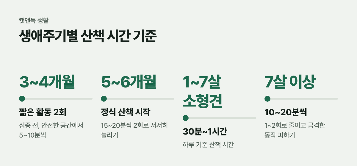 생애주기별 산책 시간 기준