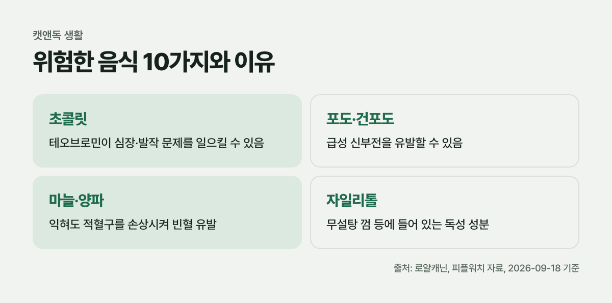 위험한 음식 10가지와 이유