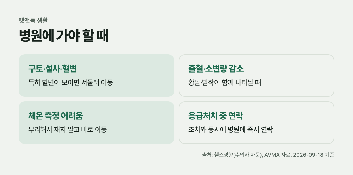 병원에 가야 할 때