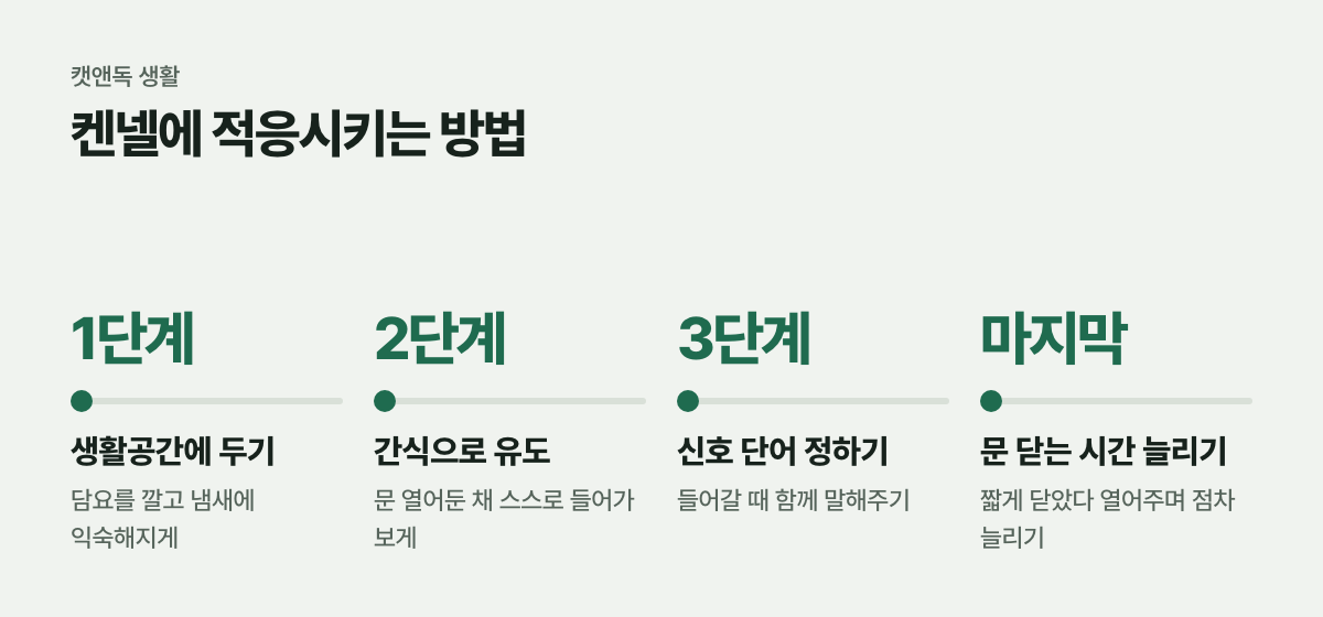 켄넬에 적응시키는 방법