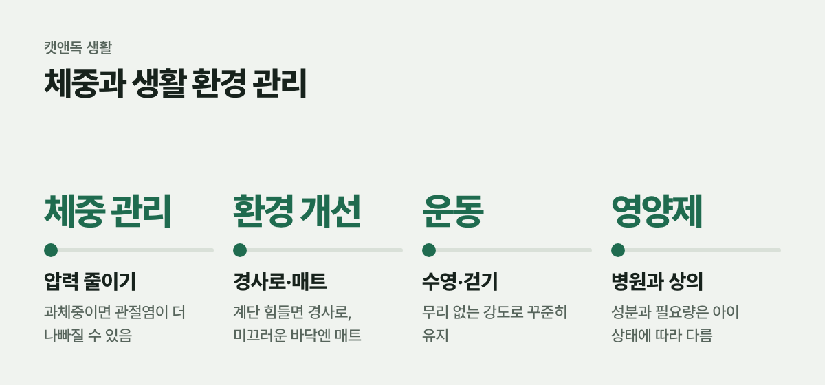 체중과 생활 환경 관리